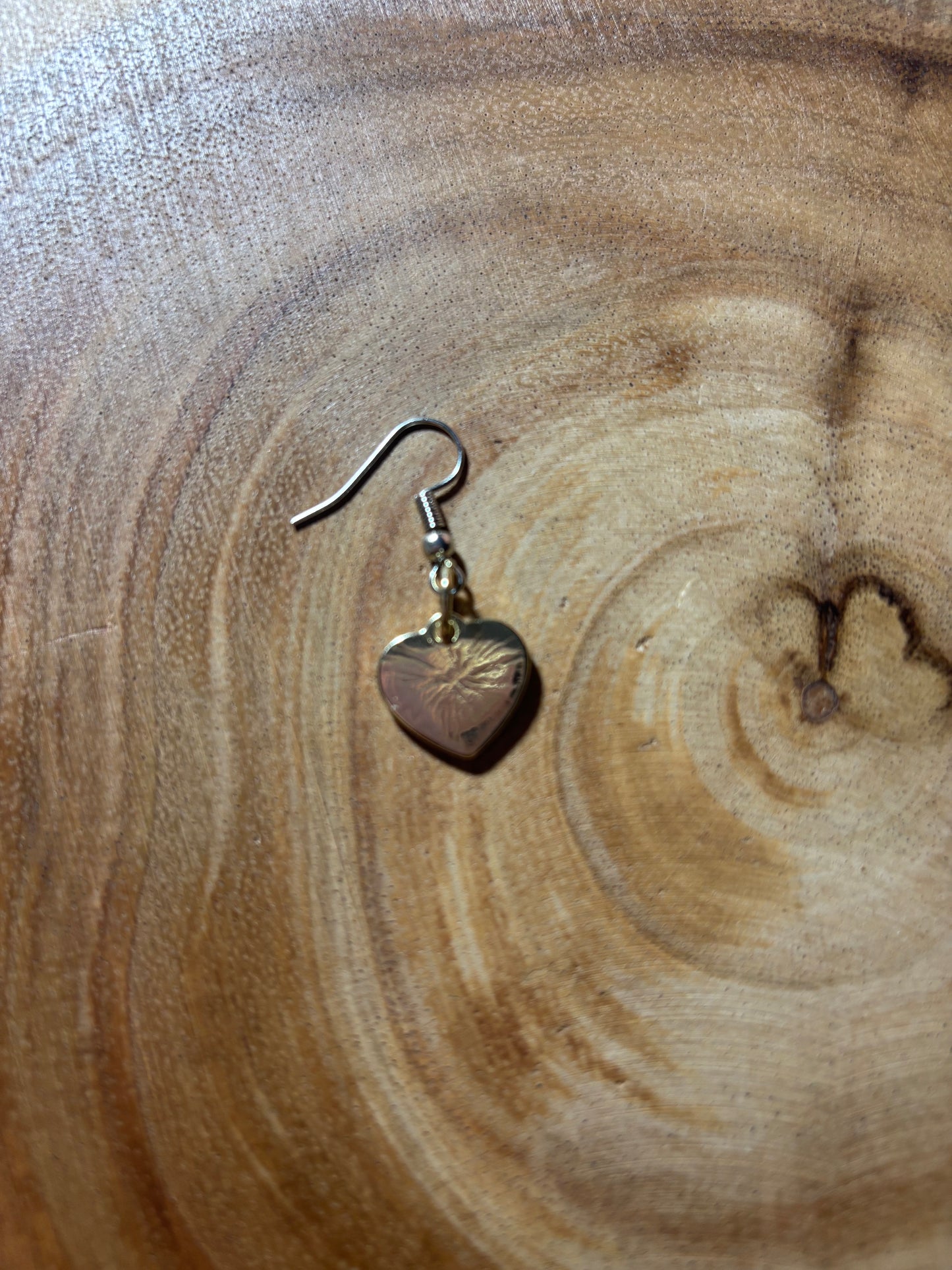 Aquarius Zodiac Heart Earrings